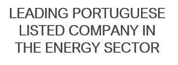 Leading Portuguese listed company in the Energy Sector